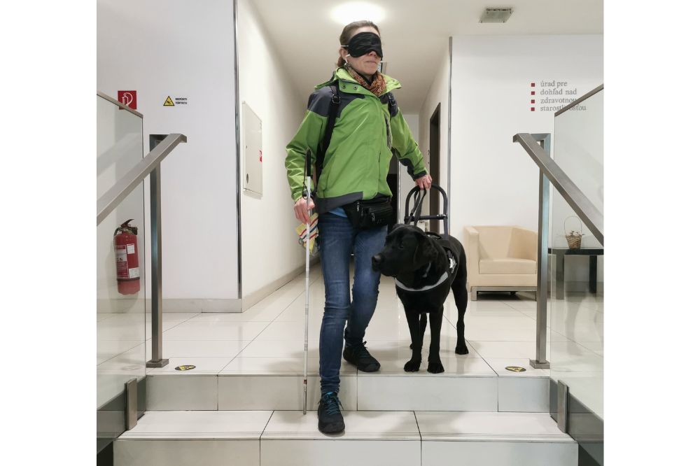 Vodiaci pes s inštruktorom so zakrytými očami